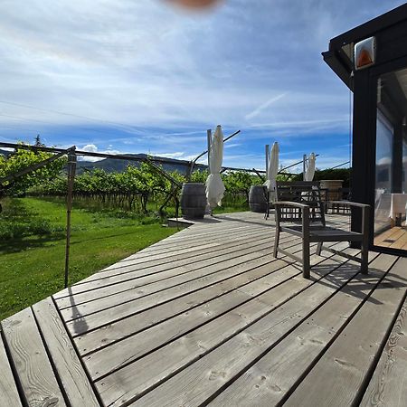 Antico Fienile Agritur Βίλα Mezzocorona Εξωτερικό φωτογραφία