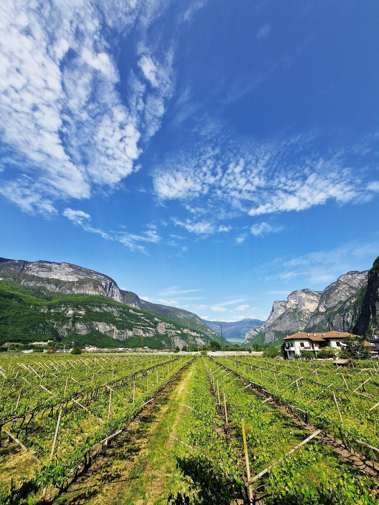Antico Fienile Agritur Βίλα Mezzocorona Εξωτερικό φωτογραφία