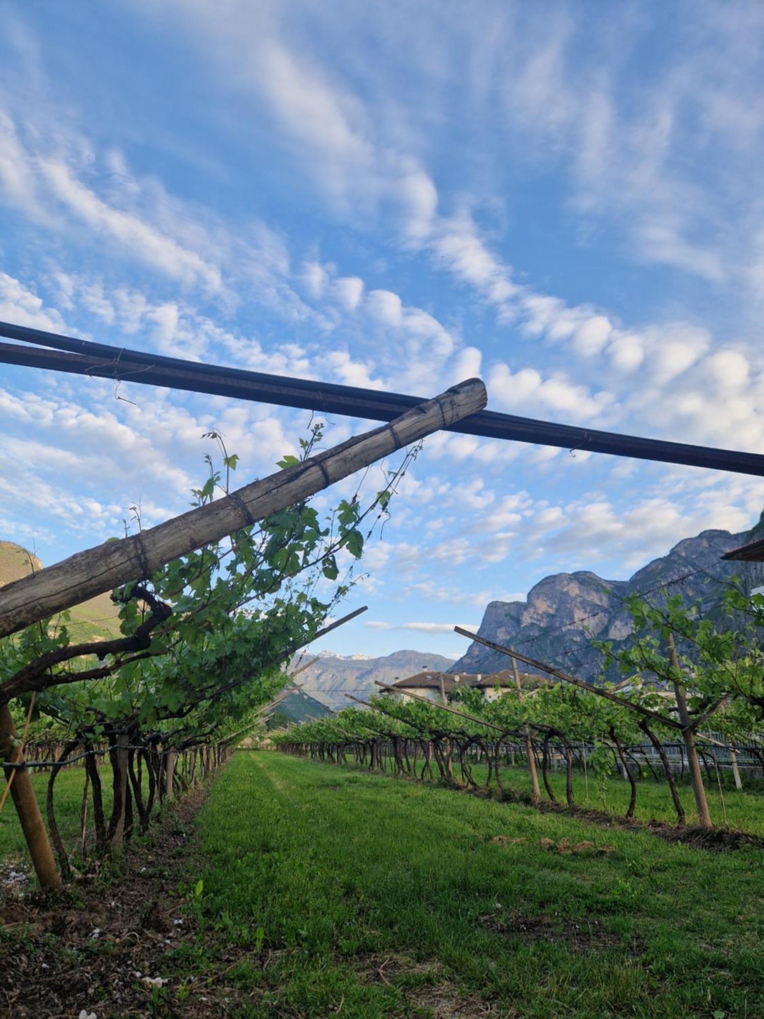Antico Fienile Agritur Βίλα Mezzocorona Εξωτερικό φωτογραφία