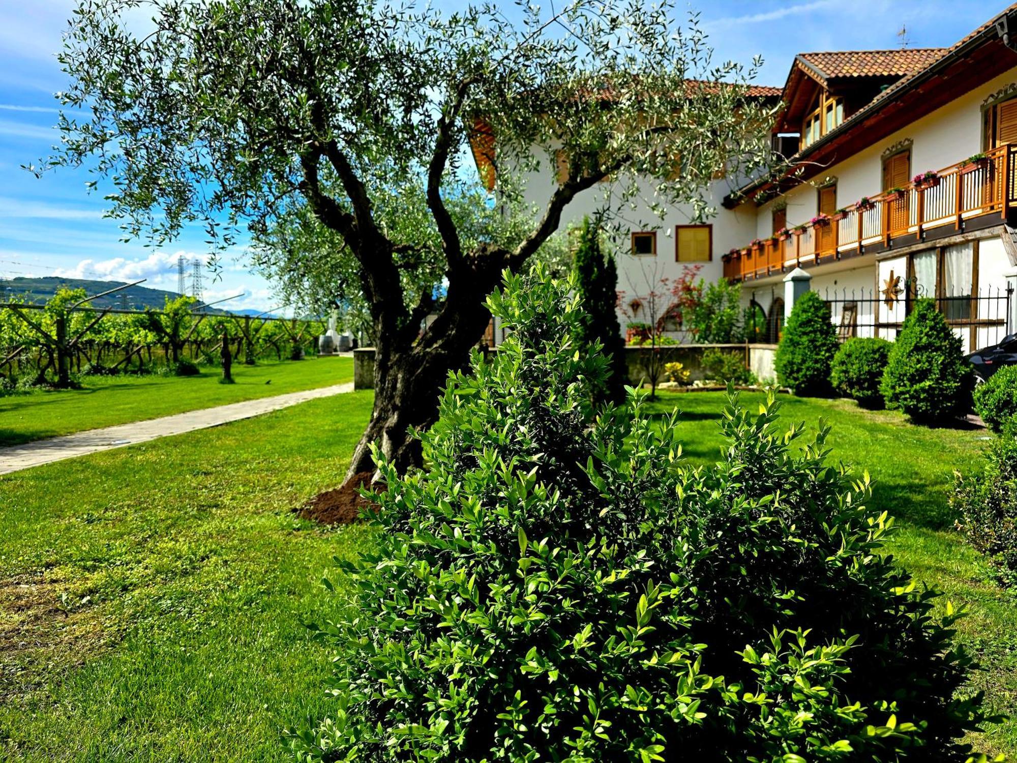 Antico Fienile Agritur Βίλα Mezzocorona Εξωτερικό φωτογραφία