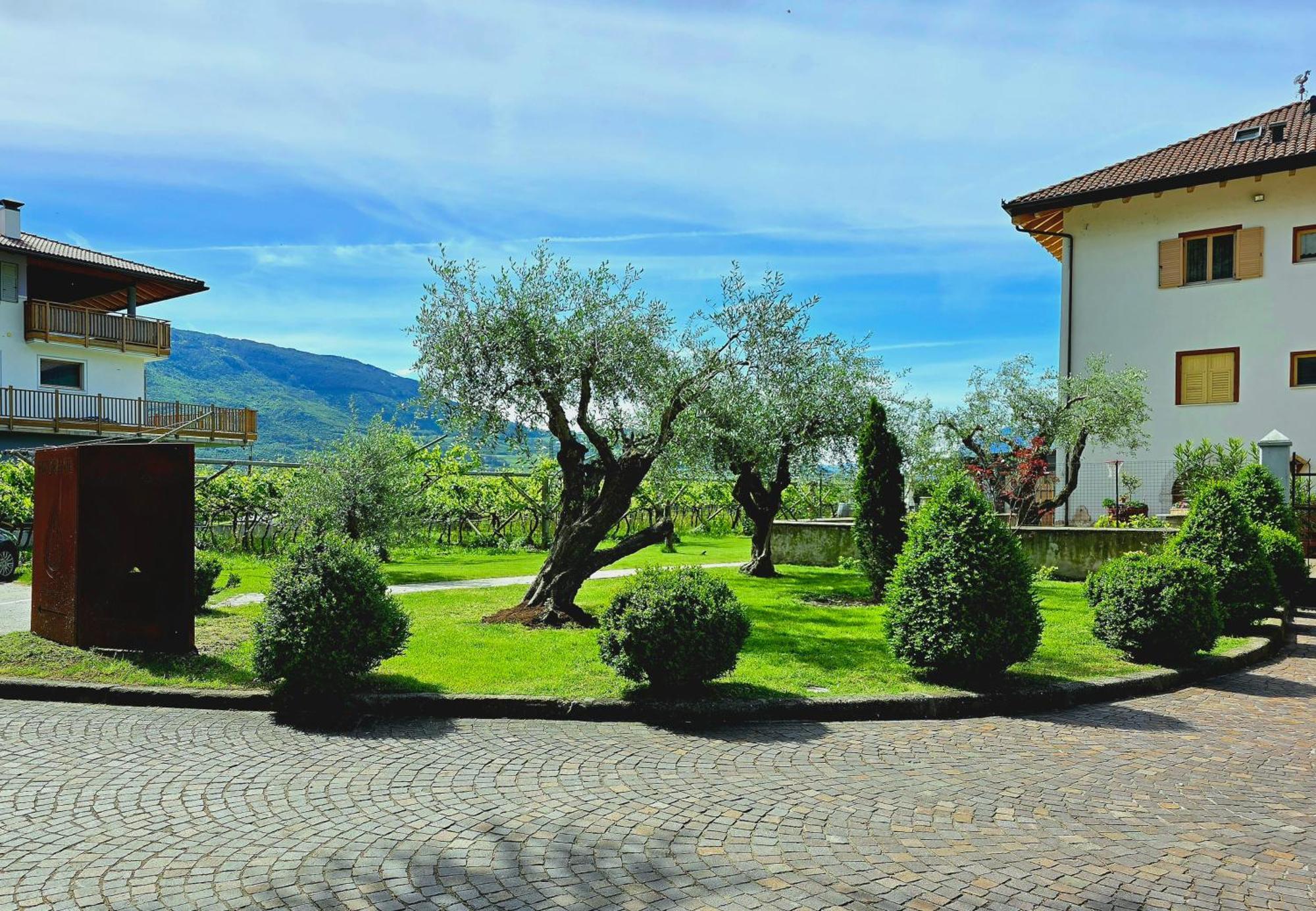Antico Fienile Agritur Βίλα Mezzocorona Εξωτερικό φωτογραφία