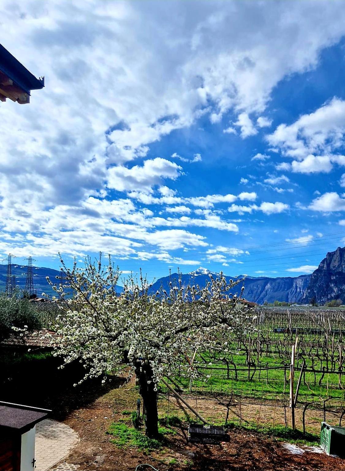 Antico Fienile Agritur Βίλα Mezzocorona Εξωτερικό φωτογραφία